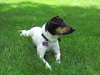 Tucker