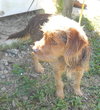 Arlo