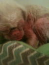 Fred