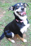 Lu