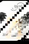 Moops Puppy