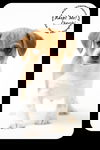 Chevski Puppy