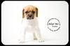 Zorra Puppy