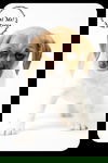 Zorra Puppy