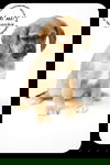 Skoschie Puppy