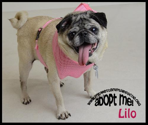 Lilo