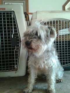 Fritz