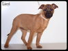 Liesl-Foster Needed