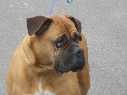 Betty- Courtesy Posting