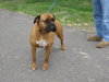 Betty- Courtesy Posting