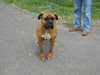 Betty- Courtesy Posting