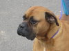 Betty- Courtesy Posting
