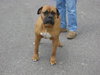Betty- Courtesy Posting