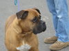 Betty- Courtesy Posting