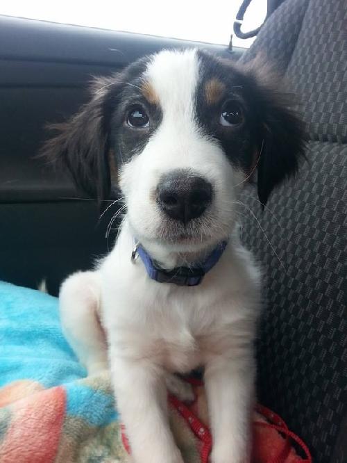 Bucky