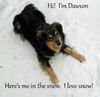 Dawson