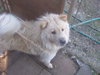 Skyler