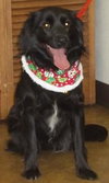 Heidi