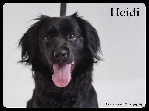 Heidi