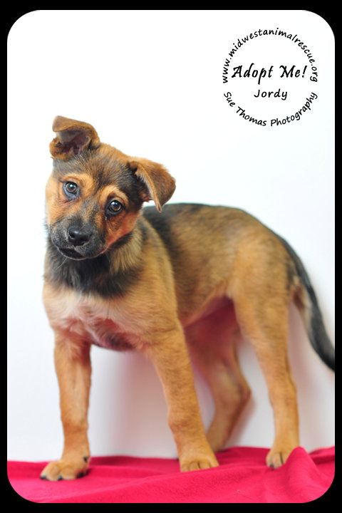 Jordy