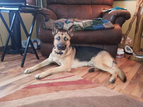 Ruger - Foster Needed