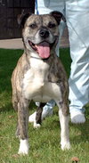 Rosco