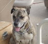 Rosco