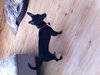 Libby Puppy