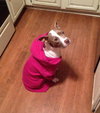 Heidi