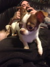 Brody
