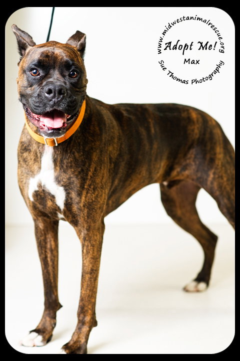 Max