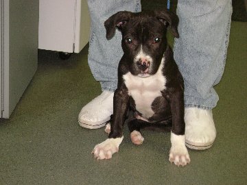 Little Cash