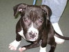 Little Cash