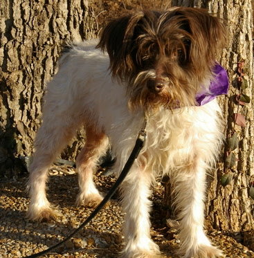 Charlie