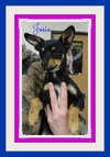 Josie