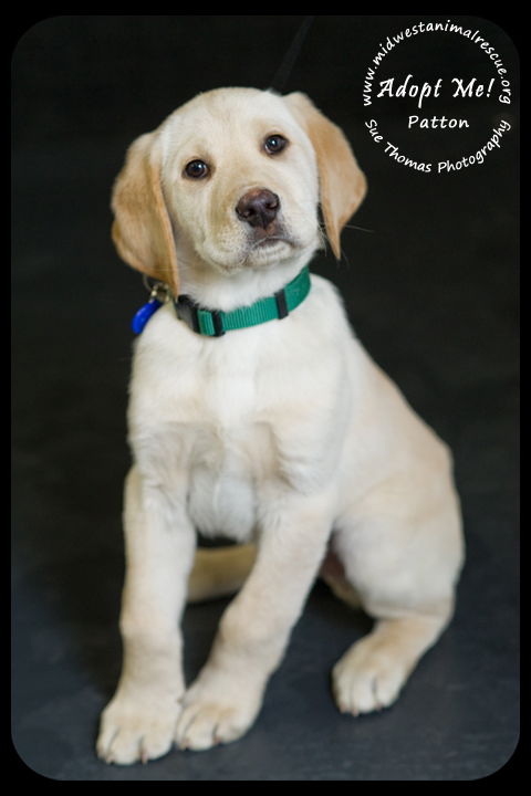 Patton