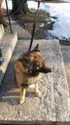 Hugo