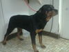 Kyna