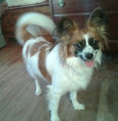 Annie