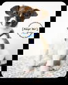 Dudley -Puppy