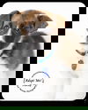 Dudley -Puppy