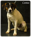 Como