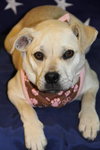 Lucy