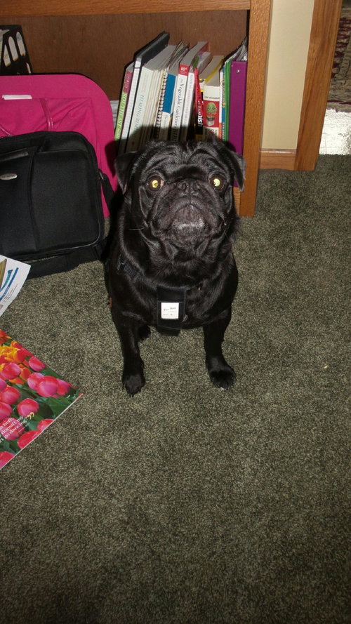 Max