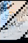 Banjo  -Pup