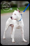 Doogie-Foster Needed