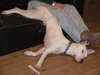 Doogie-Foster Needed