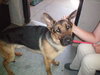 Bruno