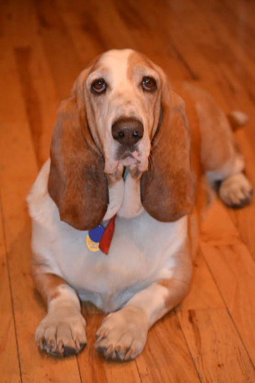 Marley