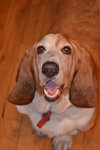 Marley